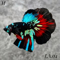 AVATAR BLACKSTAR VAMPIRE HALFMOON MALE #LA.04